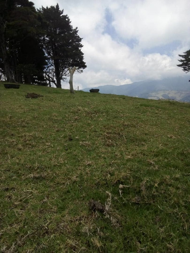Imagen 14 de 20 de Finca En Casa Via El Padre De 45 Hectáreas
