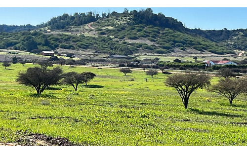 Excelente!! Parcelas De 5.000 M2 Con Rol Propio En "lom