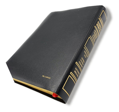 Imagen 3 de 10 de Biblia Antigua Version Letra Gigante Con Estudios