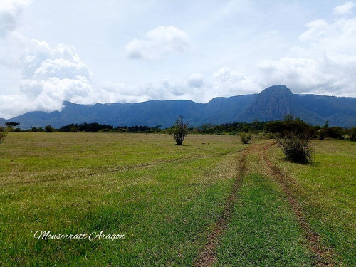 Increíble Terreno Con Manantial