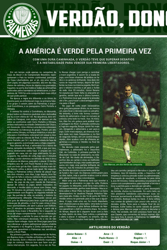 Coleção Oficial Histórica Palmeiras Edição 17 - Pôster, De On Line Editora. Editorial Online, Capa Mole, Edição 2023-02-09 00:00:00 Em Português, 2022
