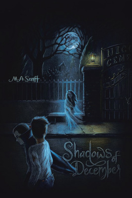 Libro Shadows Of December: Illusions Of Time - M A Senft
