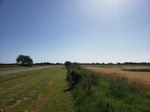 Imagen 9 de 10 de Campo En Venta Sobre Ruta Y Arroyo Navegable