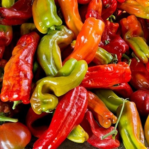 David's Garden Seeds Pepper Chili Anaheim Sl1120 (verde) 50