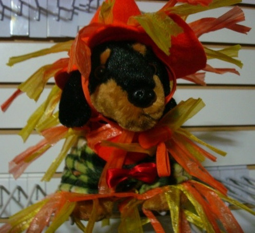 Imagen 2 de 8 de Disfraz Halloween Espantapajaros Perro Talla 1