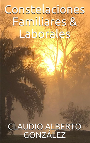Libro: Constelaciones Familiares & Laborales (spanish Editio