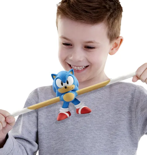 Heroes Of Goo Jit Zu Classic Sonic The Hedgehog Hero - Stret