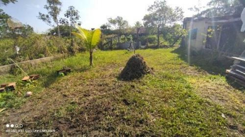 Imagem 8 de 9 de Casa No Litoral Sul, Com 1 Quarto Em Itanhaém-sp | 8256-pc