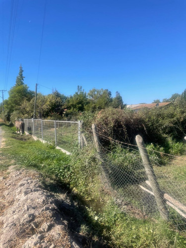 Parcela Agricola 5.000 M2 Las Quiscas Las Cabras