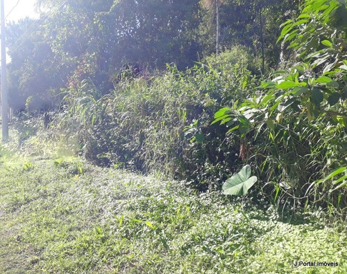Imagem 2 de 6 de Terreno - 358 - 33381663