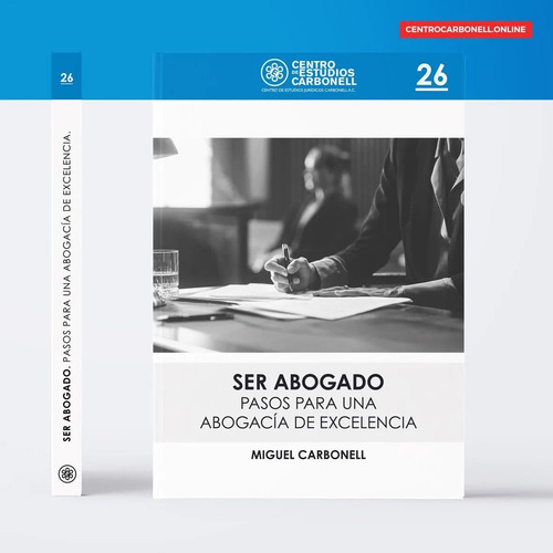Ser Abogado- Pasos Para Una Abogacía De Excelencia (26)