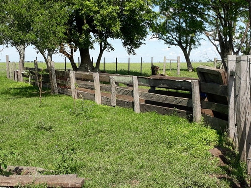 Exelente Campo Agrícola 100%