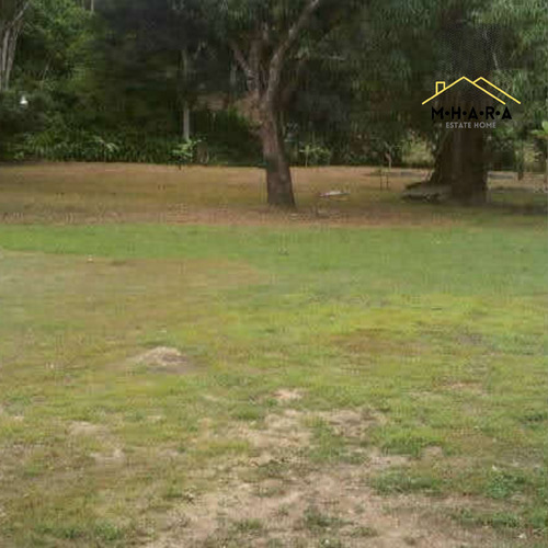 Parcela En Venta Vía Chuspa La Guaira Con Bienhechurias Y Siembra