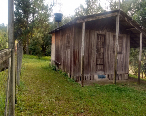 Chácara 2.500 M² - Morungava - Gravataí - Rs - 1487 - 32420008