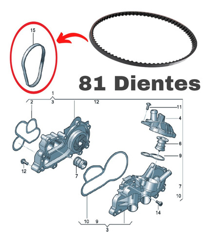 Banda De Bomba Agua Original Toledo 1.0t Audi A1 30tfsi 3cil
