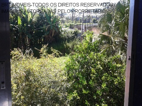 Imagem 17 de 17 de Ca00107 - Taboão - São Roque - Sp - Ca00107 - 32093385