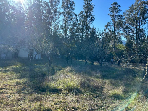 Arriendo Sitio Urbano Comercial 5.000 M2 Sector Patagual