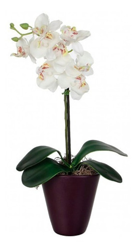 Orquidea Blanca Con Matero Duna