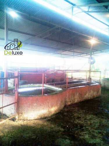Imagen 11 de 27 de Finca En Venta Chiguará