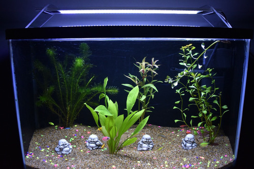 Excelente Lámpara Led Rgb Para Acuario 60cms Aérea
