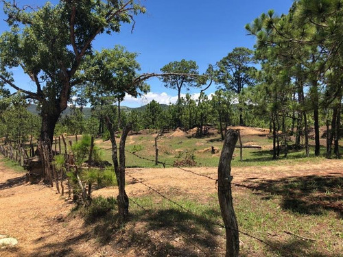 Imagen 1 de 6 de Terreno En Venta El Vergel