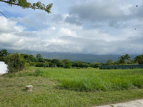 Imagen 6 de 14 de En Venta Terreno En Hato Royal