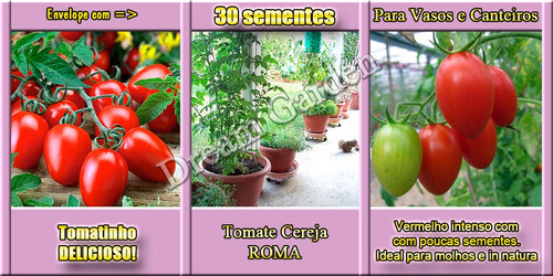 Imagem 2 de 8 de Tomate Cereja Roma Super Red - Sementes Para Mudas