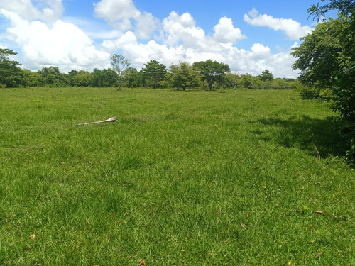 Te Vendo Esta Hermosa Finca En San Jose De Los Llanos .