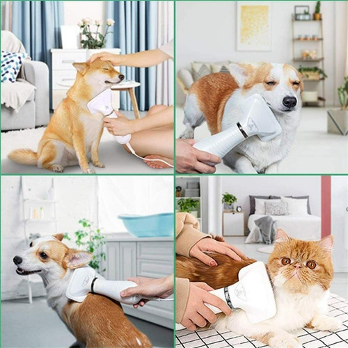 Secador Pet Banho E Tosa Secar Escovar Pelos Alisa E Seca Já