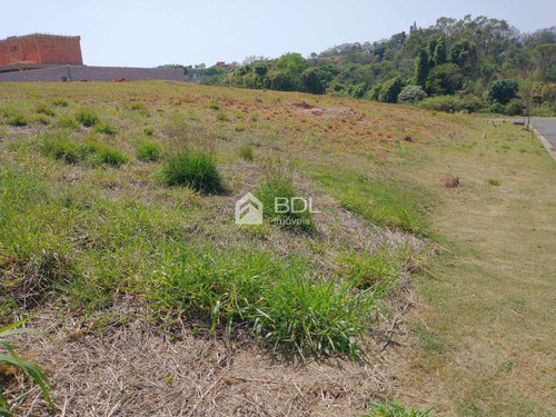 Imagem 10 de 10 de Terreno À Venda Em Joapiranga - Te003834