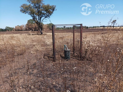 Imagen 11 de 17 de Terreno Agrícola En Venta En Victoria