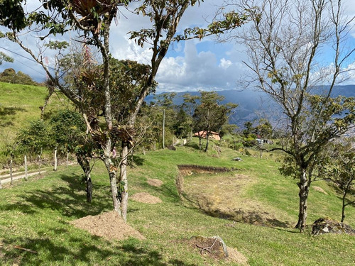 Lote Con Banqueo, Fácil Acceso Y Nacimiento De Agua