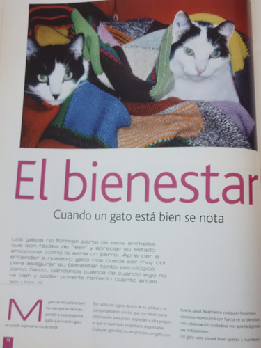 Revista Todo Gatos (Usado)