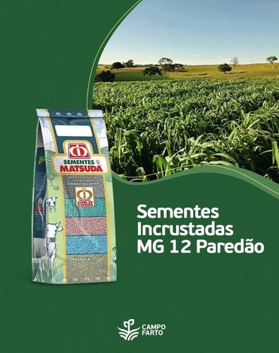 Sementes Incrustadas Mg 12 Paredão Matsuda
