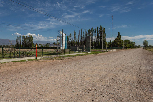 Venta Lote Parque Industrial Lújan De Cuyo