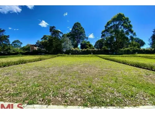 Rhbr-11776 Lote (rionegro, Sector Chipre)