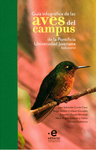 Guía Infográfica De Las Aves Del Campus De La Pontificia Uni