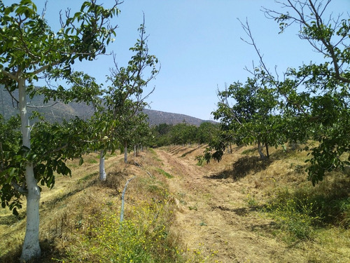 Excelente Parcela Con Agua Y Rol