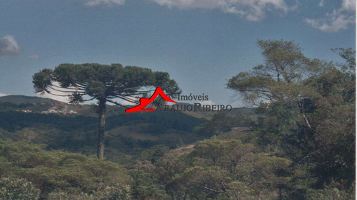 Imagem 2 de 2 de Chácara, Mato Dentro, Tremembé - R$ 175 Mil, Cod: 7116 - V7116