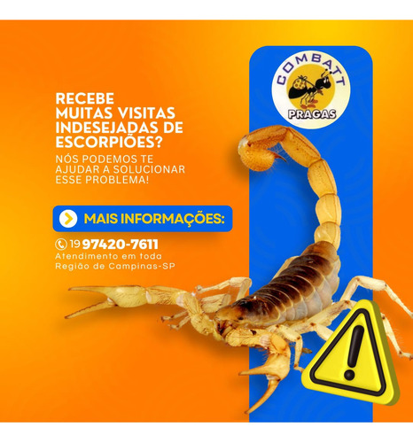 Combattpragas Serviços De Dedetização