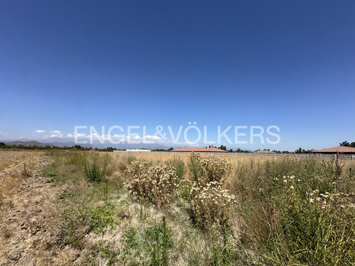 Terreno En Venta En Requinoa
