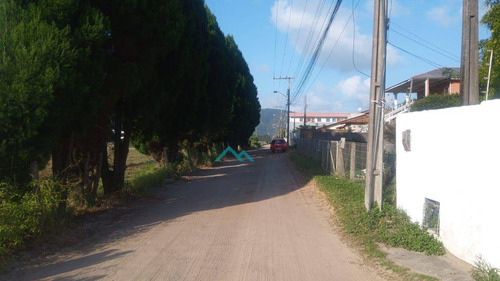 Imagem 2 de 30 de Casa Com 2 Dormitórios À Venda, 150 M² Por R$ 450.000,00 - Rio Vermelho - Florianópolis/sc - Ca0284