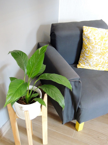 Planta Interior Cuna De Moisés Combo C/pie Nórdico Blanco