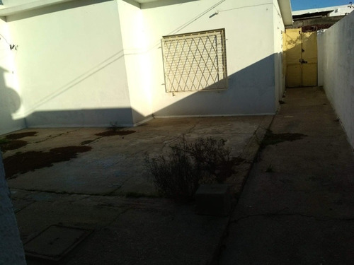 Alquilo Casa De 1 Dormitorio