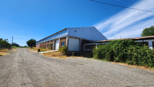 Bodega Camino Canta Rana