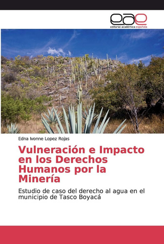 Libro: Vulneración E Impacto En Los Derechos Humanos Por La 