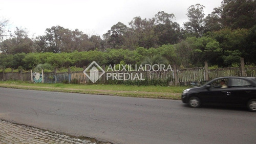 Imagem 10 de 11 de Terreno - Protasio Alves - Ref: 237184 - V-237184