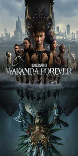 Poster Lona Vinilica Uv - Wakanda Forever - Pantera Negra