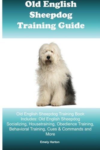 Old English Sheepdog Training Guide Old English Sheepdog Tra