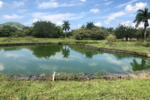 Terreno En Tetecalita, Morelos. Con Hermoso Lago Artificial.